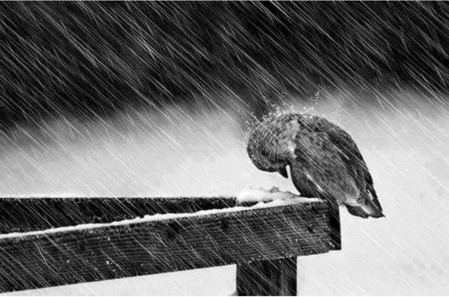 LLUVIA