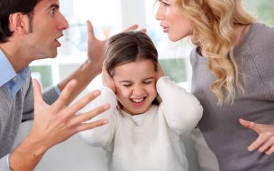 RESPONSABILIDAD PARENTAL Y SOCIALISMO. LA INSUFICIENCIA DE LA FORMA JURIDICA FRENTE A LA CRISIS CAPITALISTA