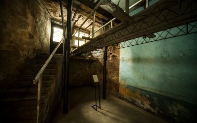 NUEVAS VERSIONES DEL NEGACIONISMO. Carlos BALA, LA CLASE OBRERA Y LAS CONSECUENCIAS DEL INDIVIDUALISMO UTILITARISTA