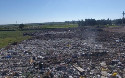 EL CAPITAL DIJO PRESENTE                                               CON FORMA DE CAMION RECOLECTOR DE BASURA       SE COBRO OTRA VÍCTIMA