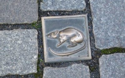 2033