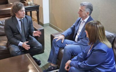 “Los votantes votan, pero no eligen”.                                MILEI Y SUS PREMISAS DEFRAUDATORIAS.                            NEGARLAS ES LA RESPUESTA MÍNIMA NECESARIA DESDE LOS TRABAJADORES.
